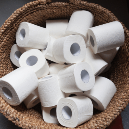 Toilet Paper Ply